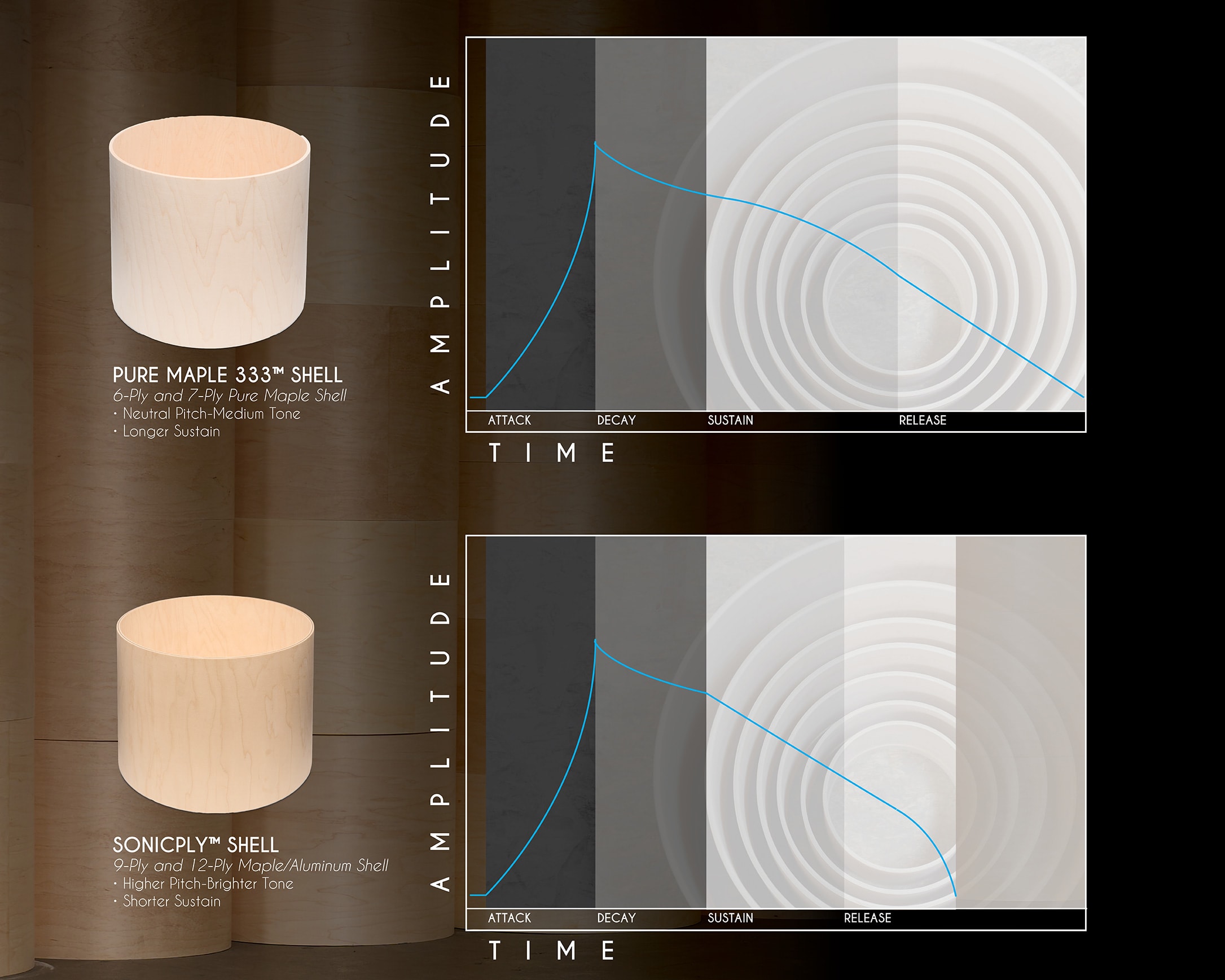 Collector's Shells ADSR Waveform Chart - SonicPly